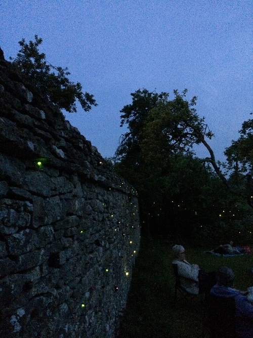 green glowing LEDs around a stone wall outdoors