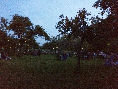 An orchard at dusk full of people and tiny glowing LED lights
